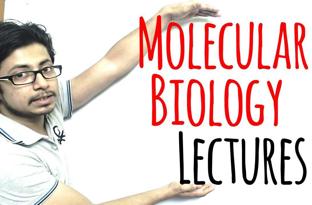 Molecular biology lecture Suman Bhattacharjee